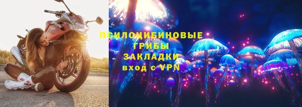 молекула духа Алексеевка