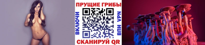 darknet как зайти  Гдов  Псилоцибиновые грибы Psilocybine cubensis 
